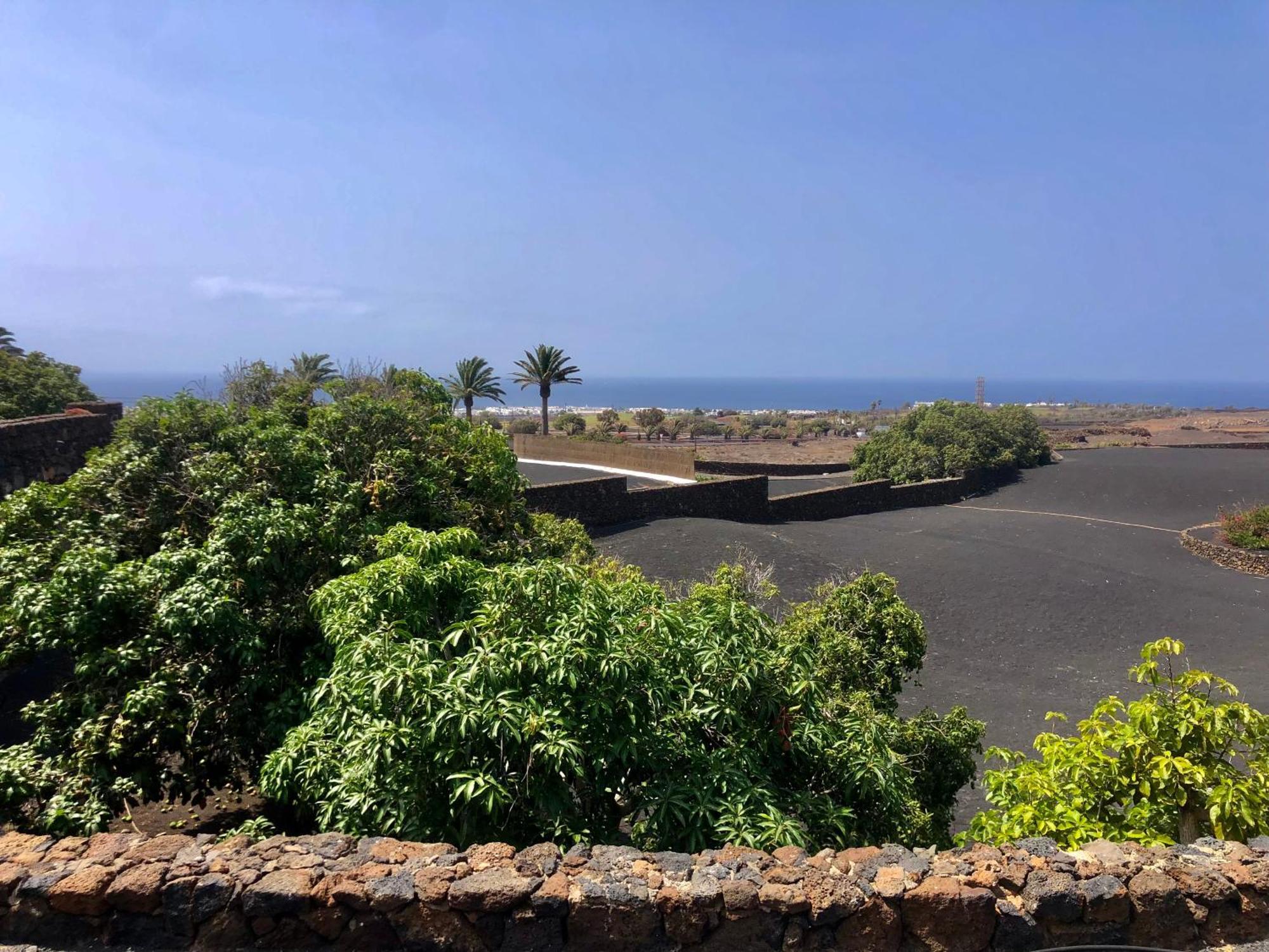 Villa Luciano "Spirit Of The Canaries" Tías Buitenkant foto